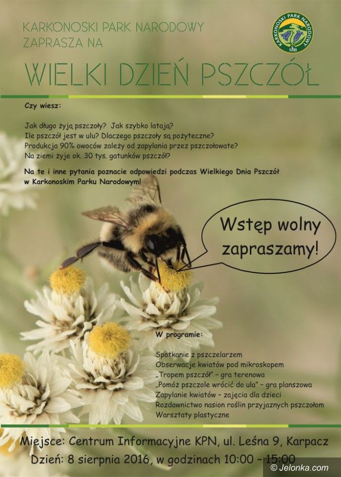 Karpacz: Wielki dzień pszczół – jutro