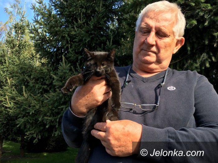 Jelenia Góra: Schronisko pomaga także dzikim zwierzętom