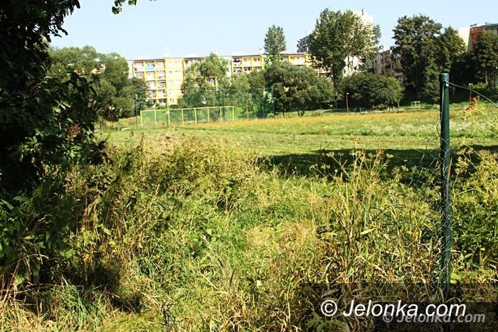 Jelenia Góra: Czytelniczka: Chaszcze zarosły Zabobrze