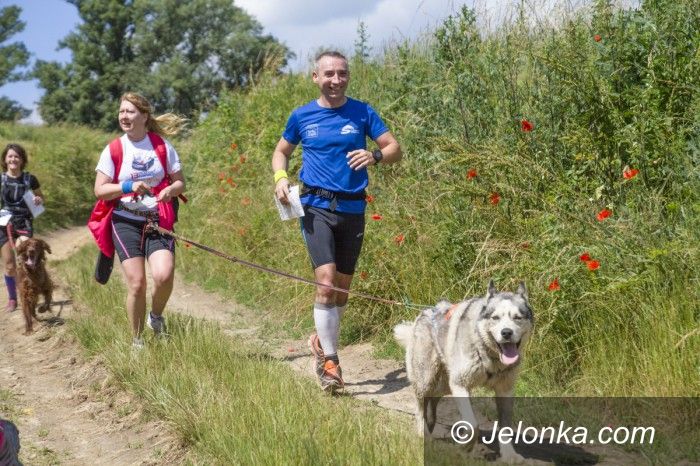 Przesieka: Nadchodzi 4. etap Pucharu Polski w Dogtrekkingu