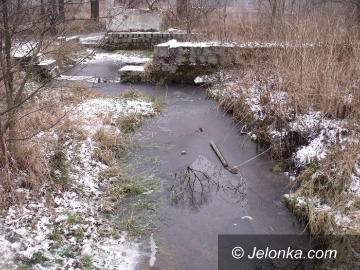 Jelenia Góra: Na niezwykłą wędrówkę z Jelonką.com
