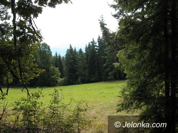 Jelenia Góra: Wycieczki z Eugeniuszem Gronostajem