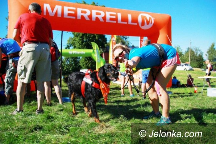Przesieka: 4. etap Pucharu Polski w Dogtrekkingu za nami