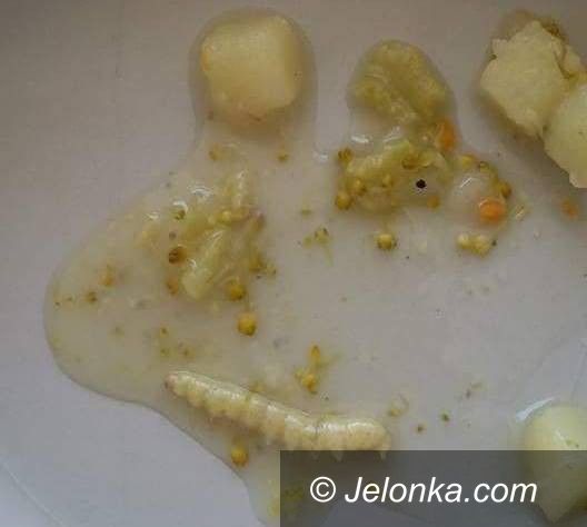 Jelenia Góra: Niesmaczny incydent w szpitalu