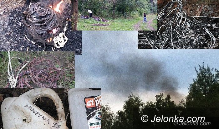 Jelenia Góra: Palą kable w lesie przy Granicznej, ale smród!