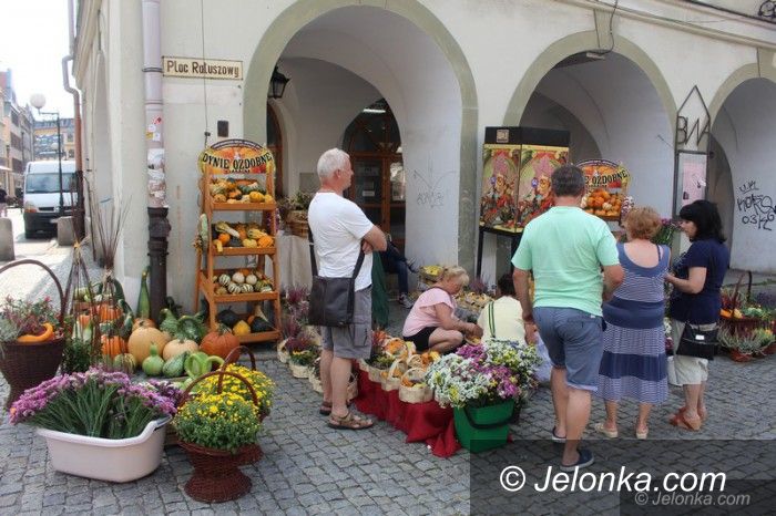 Jelenia Góra: Kiermasz ekologiczny za nami