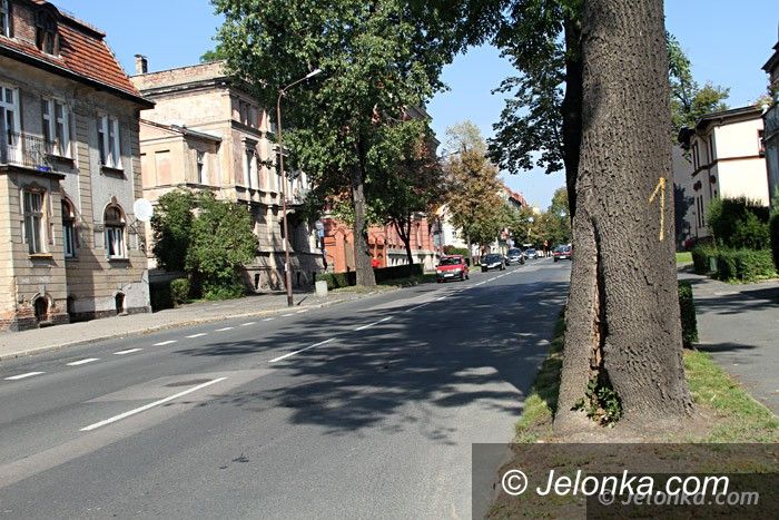 Jelenia Góra: Co z drzewami na Wojska Polskiego?