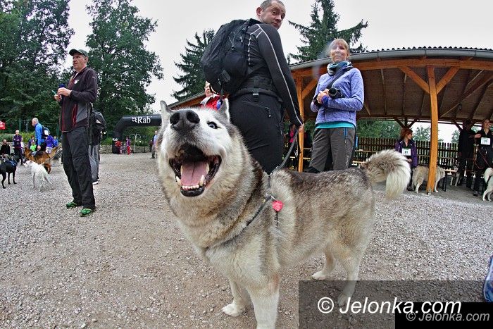 Region: Na starcie w Dogtrekkingu stanęło 150 zespołów