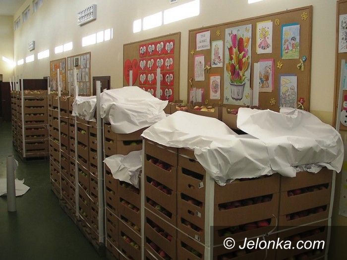 Region: Złóż wniosek i odzyskaj pieniądze za owoce i warzywa