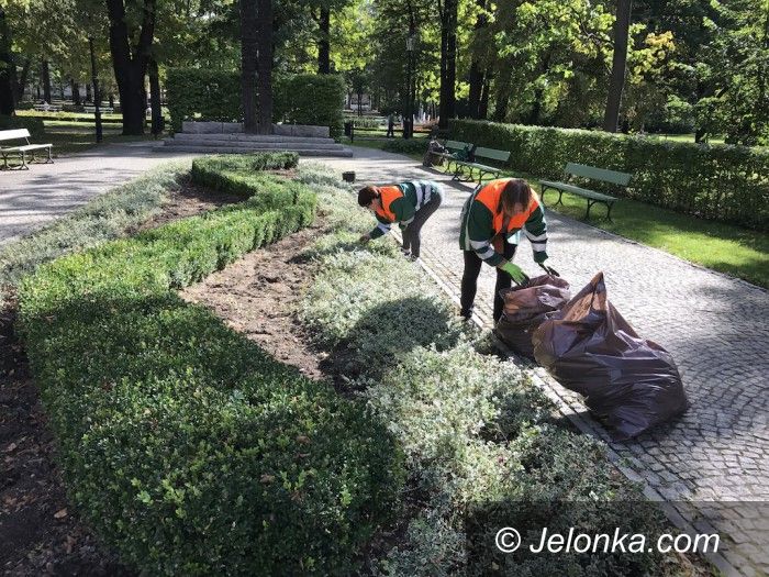 Jelenia Góra: Znowu w mieście przybędzie roślin