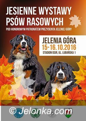 Jelenia Góra: Dwie Jesienne Wystawy Psów Rasowych