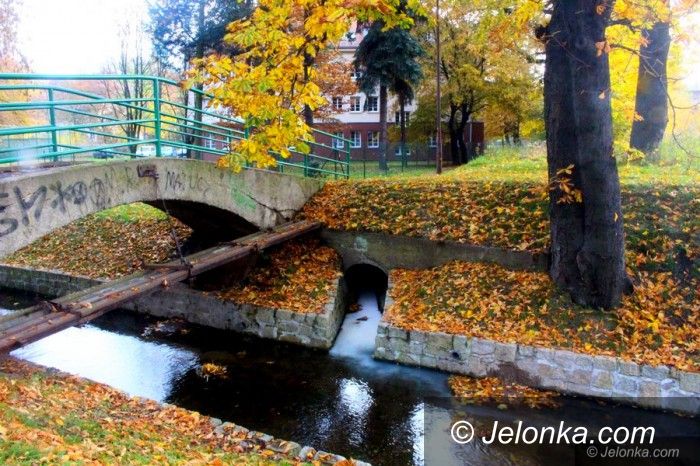 Jelenia Góra: Wyciek do kanału Młynówka