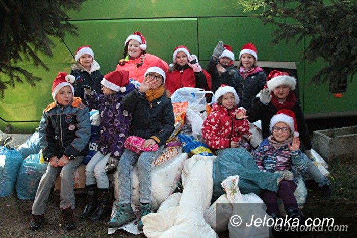 Jelenia Góra: Cenne podarki dla zwierzaków ze schroniska