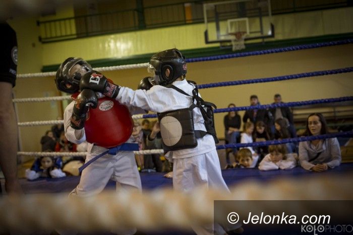 Jelenia Góra: Święto sportów walki!