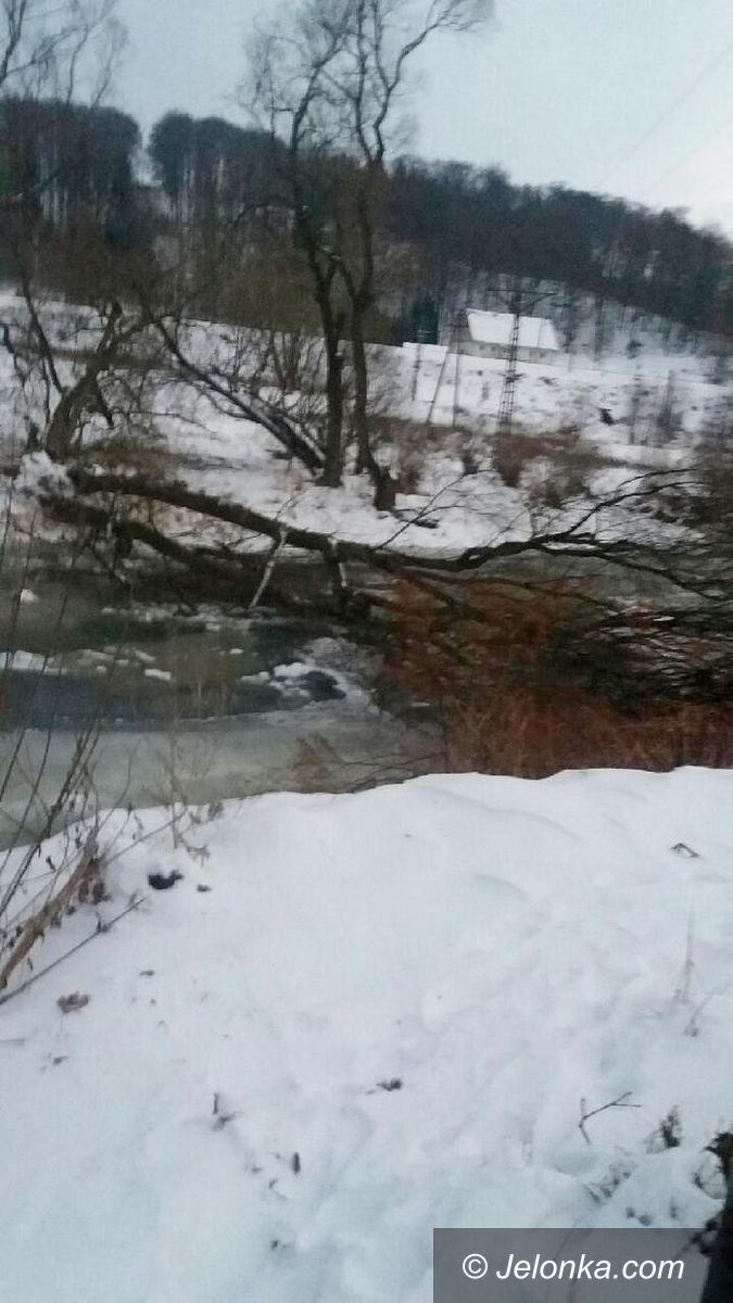 Janowice Wielkie: Strażacy usuwali powalone drzewa na Bobrze