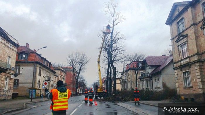 Jelenia Góra: Z Wojska Polskiego znikają stare drzewa