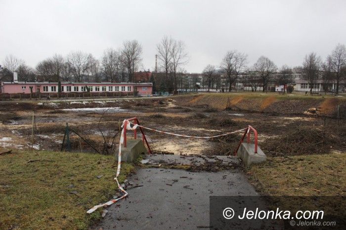 Jelenia Góra: Wielka wycinka w zabobrzańskim „dołku”