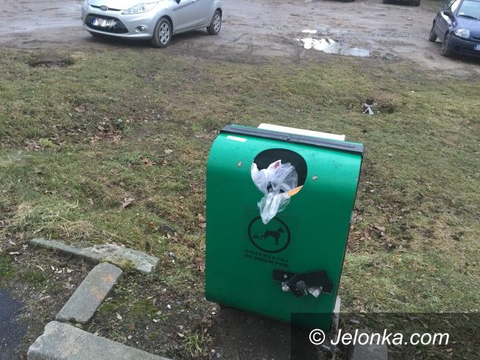 Jelenia Góra: Czy mieszkańcy sprzątają po swoich psach?