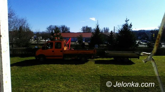 Jelenia Góra: Mieszkańcy zablokowali wycinkę
