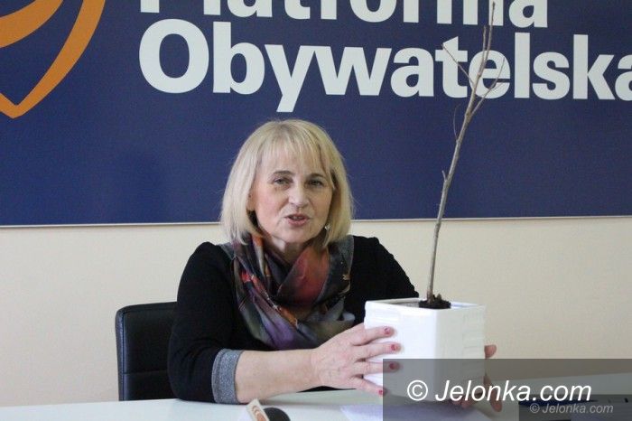 Jelenia Góra: Kolejna akcja sadzenia drzewek