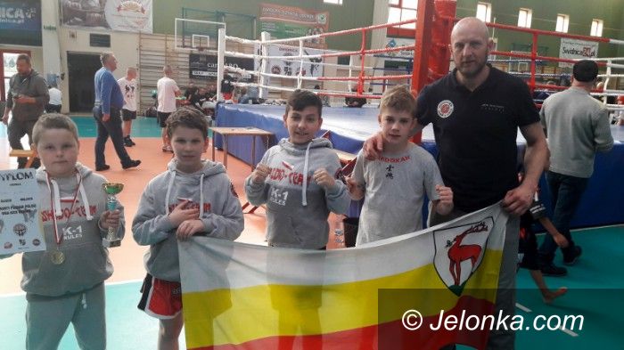 Świdnica: Udane walki zawodników Shido Team