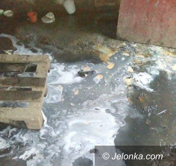Jelenia Góra: Ścieki zalewały piwnicę przez dwa lata