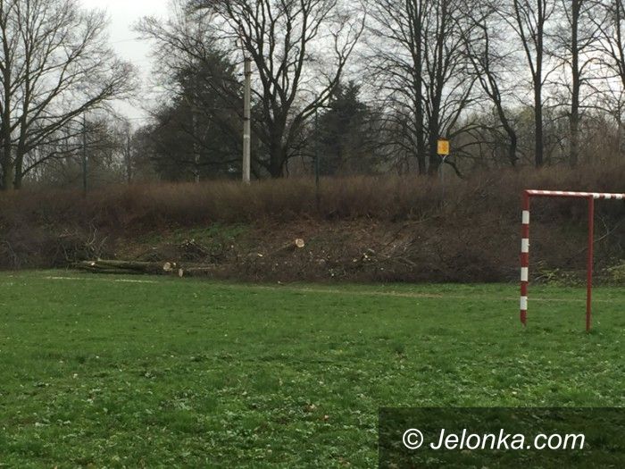 Jelenia Góra: Po co wycinano drzewa przy torach kolejowych?