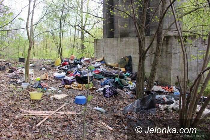 Jelenia Góra: Sprzątanie Borowego Jaru – przyłącz się