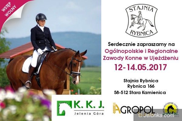 Region: Zdolni jeźdźcy i piękne konie w Rybnicy