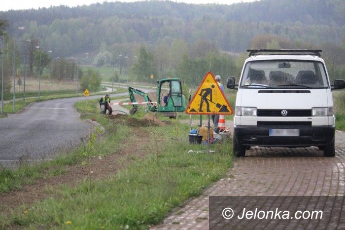 Jelenia Góra: Czytelnik: Sadzili drzewka, a teraz niszczą?