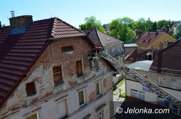 Jelenia Góra: Strażacy uratowali jerzyka