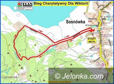 Jelenia Góra: Bieg charytatywny dla Wiktorii