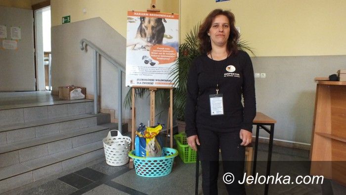 Jelenia Góra: Zbiórka karmy dla zwierząt Fundacji Mondo Cane