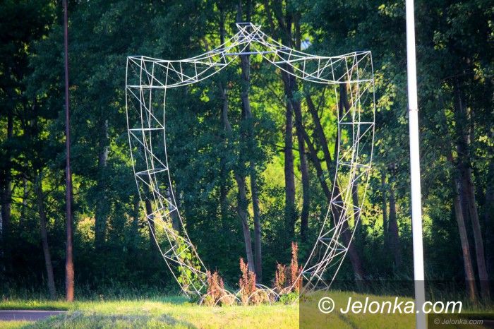 Jelenia Góra: Jelonek „spodobał się” złomiarzom?