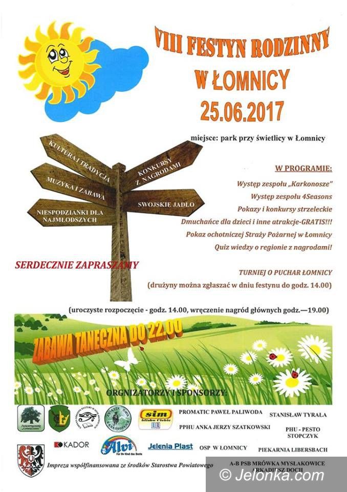 Region: VIII Festyn Rodzinny w Łomnicy