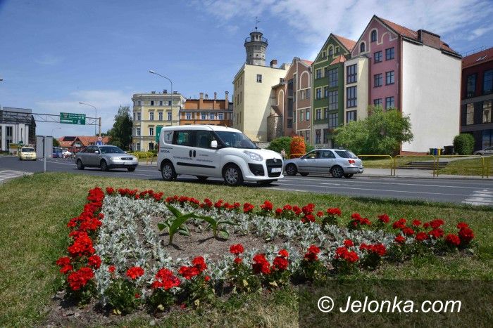 Jelenia Góra: Kwiaty w mieście dzielnie znoszą ruch i spaliny