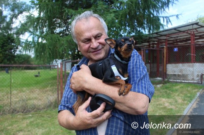 Jelenia Góra: Drzwi otwarte w schronisku dla małych zwierząt