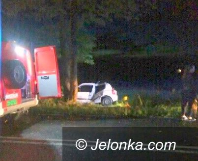 Jelenia Góra: Samochód uderzył w drzewo