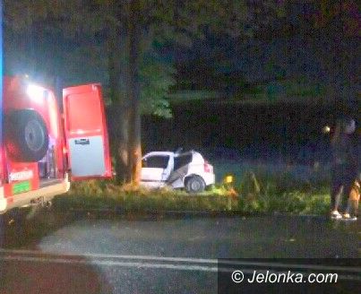 Jelenia Góra: Samochód uderzył w drzewo