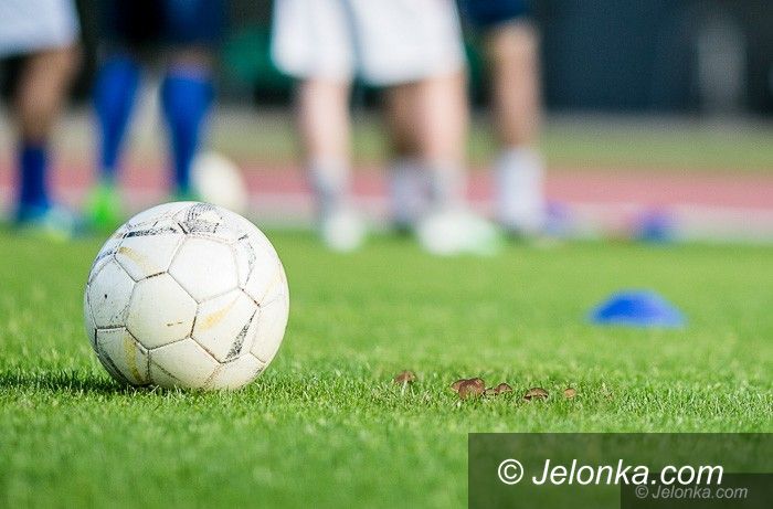 Jelenia Góra: Murawa pełna grzybów – to normalne
