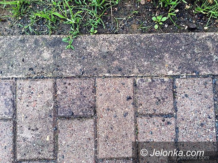Jelenia Góra: Miejskie chodniki są pryskane „roundupem”