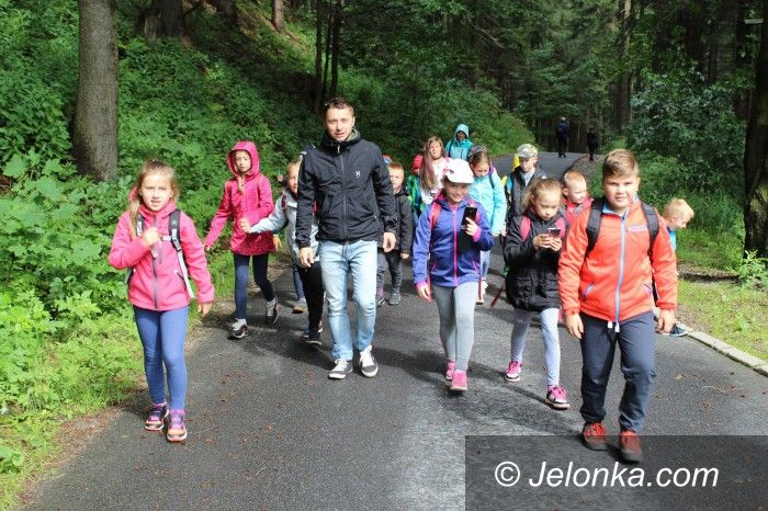 Jelenia Góra: Wakacyjne skarby i wyprawy w MDK „Muflon”