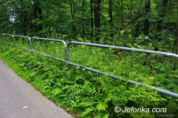 Jelenia Góra: Droga na Perłę Zachodu bezpieczna