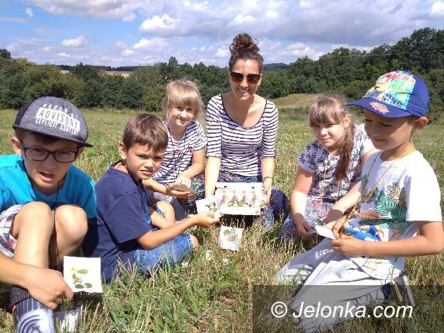 Jelenia Góra: Wspaniałe warsztaty dla dzieci w Przystani Twórczej