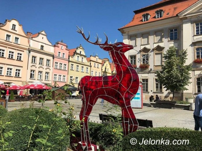 Jelenia Góra: Jelonek (zmodyfikowany) prezentuje się w centrum