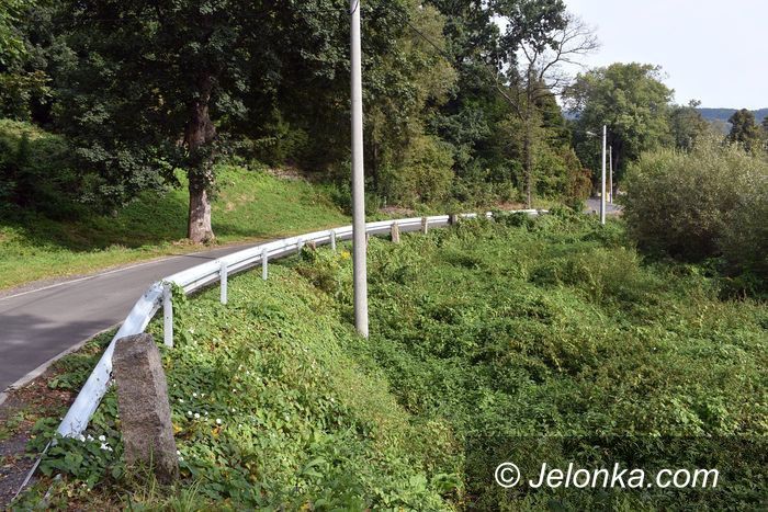 Janowice Wielkie: Nieudany przetarg na gminną inwestycję