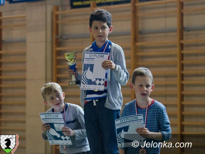Żarów: Sięgnęli po cztery medale podczas MDŚ!