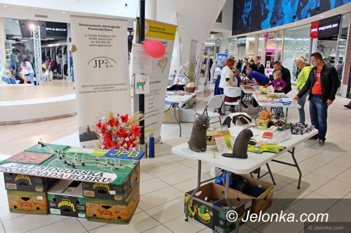 Jelenia Góra: III Targi NGO za nami