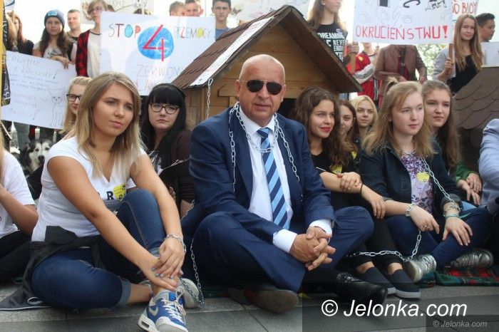 Jelenia Góra: Już w sobotę zerwą łańcuchy