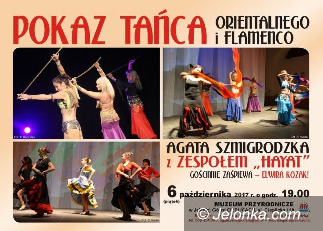 Jelenia Góra: Gorące flamenco w Muzeum Przyrodniczym